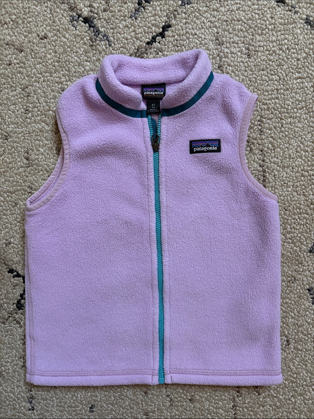 Patagonia Kids Fleece Vest (4T)